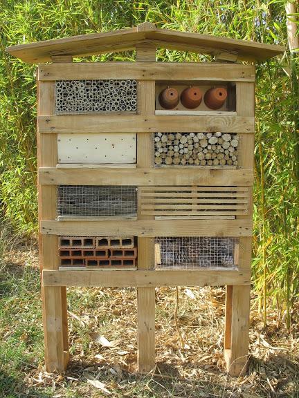 Hotelinsecte fini